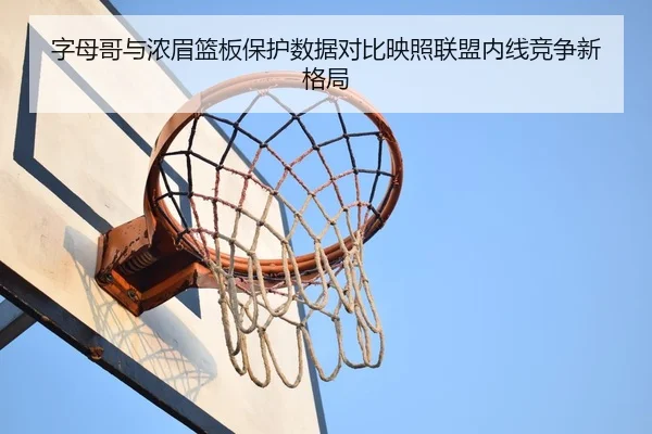 字母哥与浓眉篮板保护数据对比映照联盟内线竞争新格局